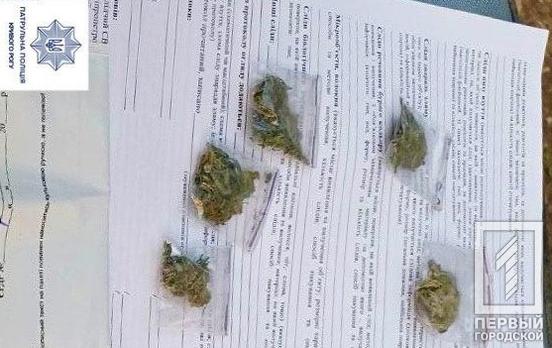 В Кривом Роге полицейские остановили парня с каннабисом