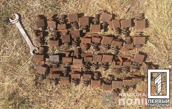 Пытался унести детали железной дороги: в  Кривом Роге полиция задержала горожанина