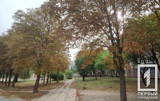 16 сентября в Кривом Роге будет безоблачная погода