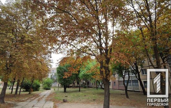 7 сентября в Кривом Роге будет солнечно