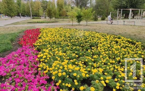 6 сентября в Кривом Роге будет облачно с прояснениями