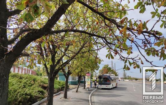 9 сентября в Кривом Роге будет солнечный день