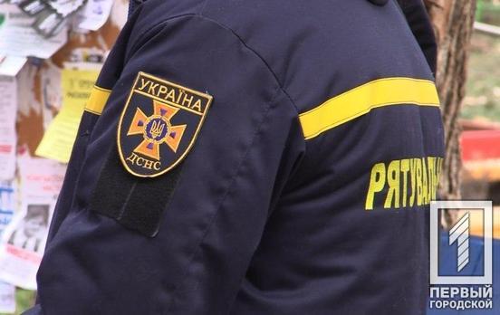 В Кривом Роге горожанин на помойке нашёл артиллерийский снаряд