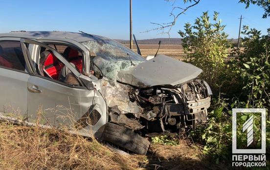 В Кривом Роге иномарка вылетела с трассы и врезалась в дерево, водитель погиб на месте