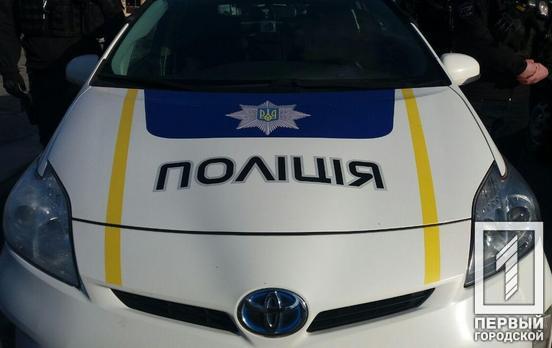Один вынес телефон, а второй – бойлер: в Кривом Роге полицейские задержали любителей лёгкой наживы