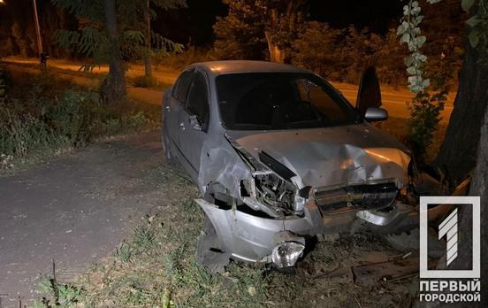 Занесло на обочину: в Кривом Роге легковушка влетела в дерево