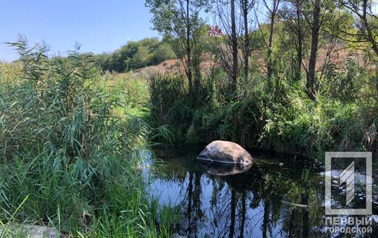 13 сентября в Кривом Роге будет солнечно