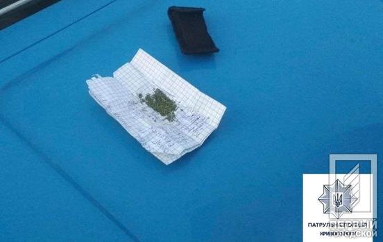 Ездил под воздействием наркотиков: полицейские Кривого Рога нашли в машине «травку»