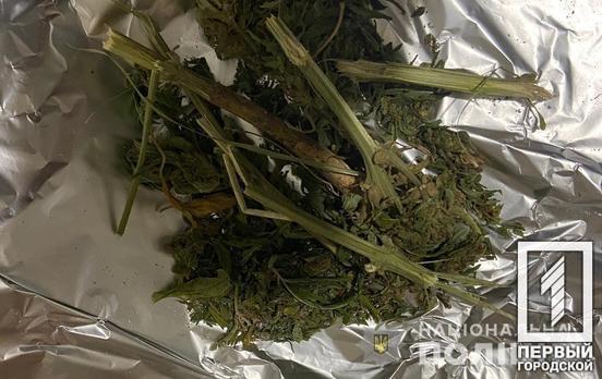 500 граммов «травки» и кусты конопли: в Кривом Роге полицейские изъяли наркотики у местного жителя