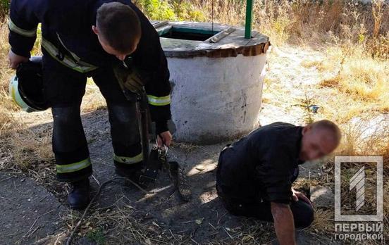 Под Кривым Рогом спасатели вытащили мужчину из колодца