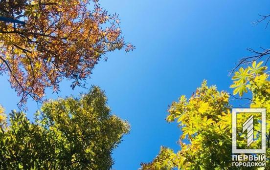 22 сентября в Кривом Роге будет безоблачный день