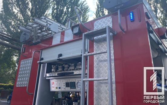 Сидел на высоте пятого этажа: в Кривом Роге спасатели сняли с дерева кота