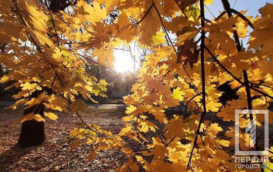 Из-за заболеваемости учащихся продлевать осенние каникулы в школах Кривого Рога не будут, – заявление