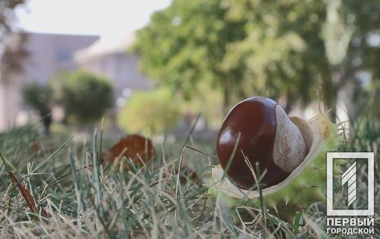 27 сентября в Кривом Роге будет дождь