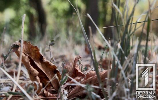 17 октября в Кривом Роге возможа гроза