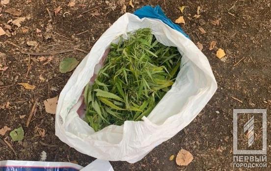 «Травка», «ширка» и «мет»: патрульные Кривого Рога выявили троих горожан с наркотиками