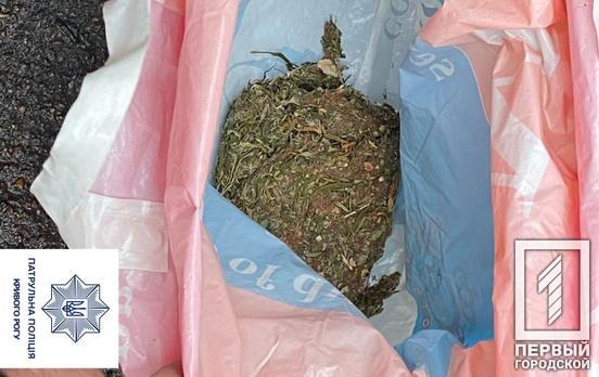 Правоохранители Кривого Рога задержали двоих мужчин с наркотиками