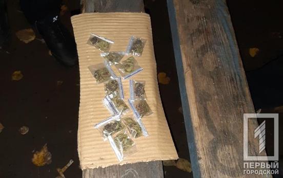 Раздавал на детской площадке: патрульные Кривого Рога нашли у горожанина пакетики с «травкой»