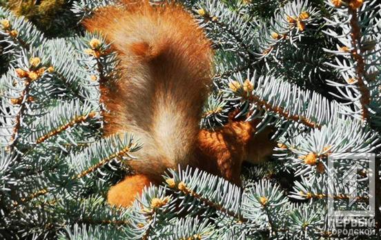 4 октября в Кривом Роге солнечно и тепло