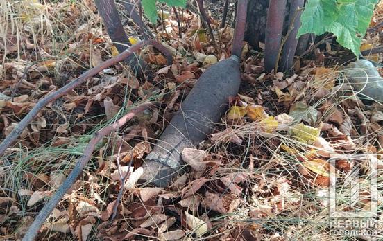 Два артснаряда: под Кривым Рогом нашли «наследие» времён Второй мировой