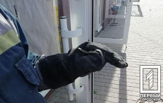 В Кривом Роге змея заползла в магазин