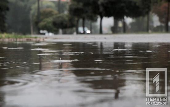 25 декабря в Кривом Роге пойдёт дождь