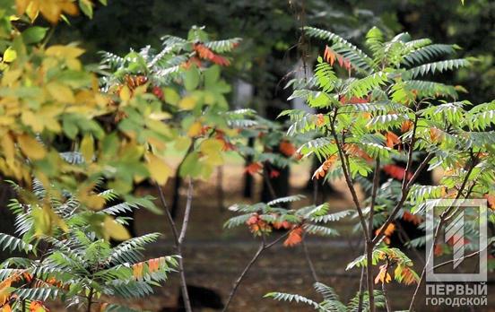 14 октября в Кривом Роге будет малооблачно