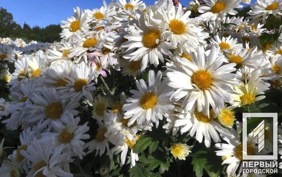 10 октября в Кривом Роге будет облачно