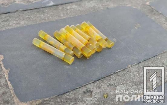 В Кривом Роге полицейские изъяли метамфетамин и каннабис у местных жителей