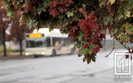 11 октября в Кривом Роге будет дождливый день