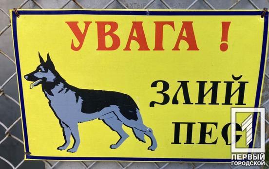 В Кривом Роге на женщину напала бездомная собака