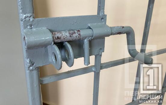 Спалив ГАЗельку, зачепив аптеку і завдав купу збитків: у Кривому Розі чоловік отримав 5 років в’язниці