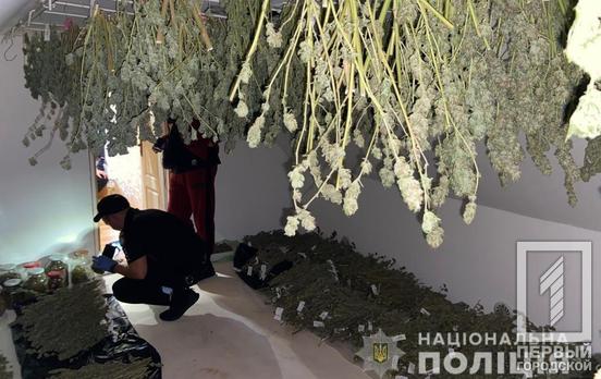 Два ружья, пистолет, патроны и каннабис: в Кривом Роге полицейские изъяли оружие и наркотики у местного жителя