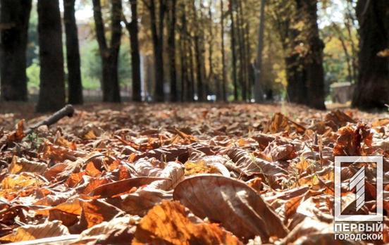 20 октября в Кривом Роге будет ветрено