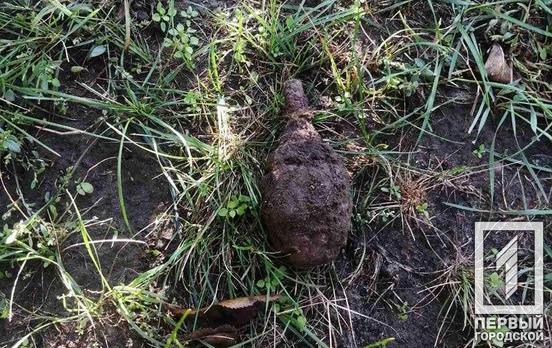 Под Кривым Рогом мужчина нашёл устаревшую гранату у себя в огороде