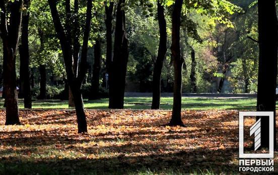 30 октября в Кривом Роге будет переменная облачность