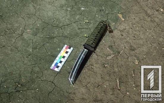 Повредил авто и бросался на людей: патрульные Кривого Рога задержали дебошира с ножом