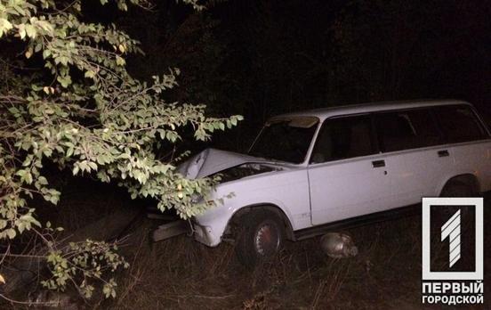 Водитель скрылся с места происшествия: в Кривом Роге автомобиль врезался в столб