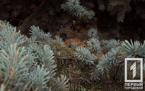 2 января в Кривом Роге будет облачно