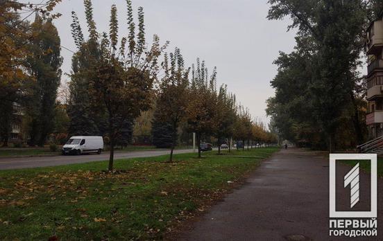 4 ноября в Кривом Роге будет пасмурно