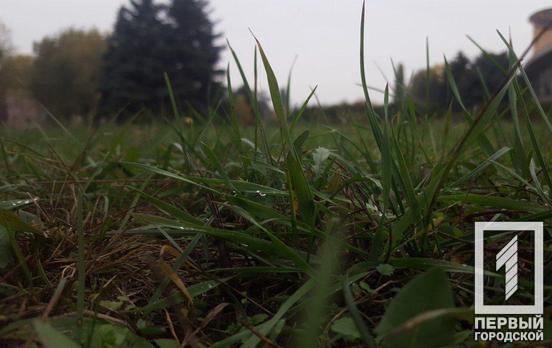 2 ноября в Кривом Роге будет пасмурно