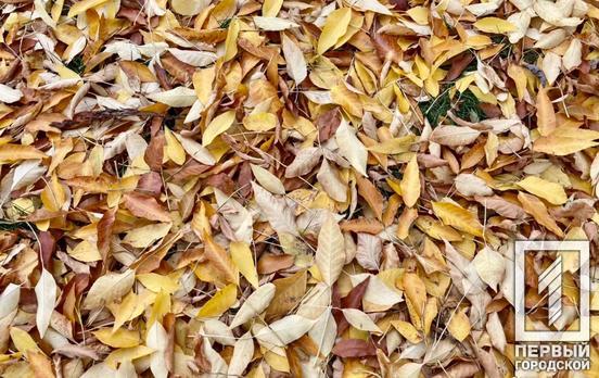 7 ноября в Кривом Роге будет пасмурно