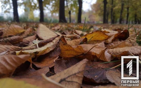 У Кривому Розі очікується похмура погода