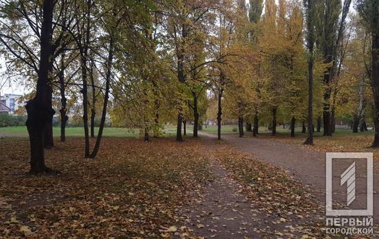 11 ноября в Кривом Роге будет облачно