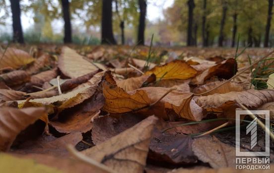 10 ноября в Кривом Роге будет пасмурно