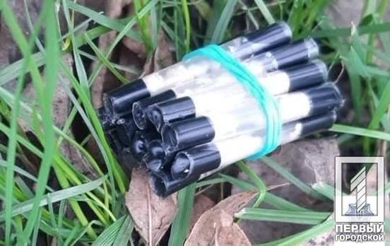 Пытался избежать наказания: в Кривом Роге мужчина выбросил из окна авто наркотики