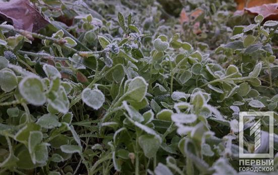 12 ноября в Кривом Роге будет пасмурно
