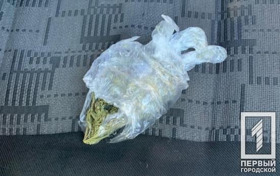 Полиция Кривого Рога остановила водителя с признаками наркотического опьянения