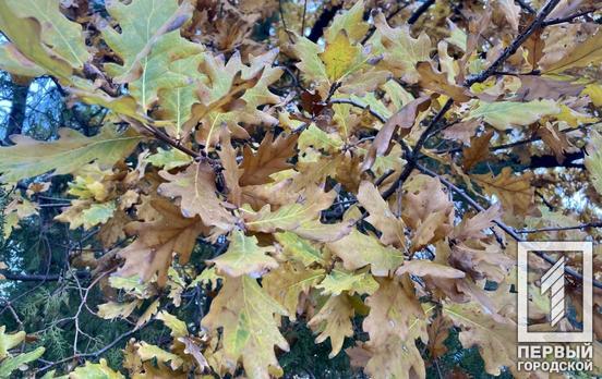 У Кривому Розі очікується мінлива хмарність та зниження температури