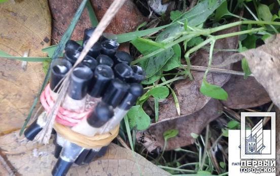 В Кривом Роге водитель выбросил наркотики во время остановки патрульными